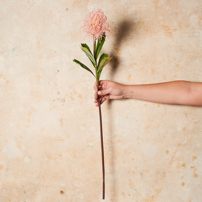 Protea Leucospermum Pin Cushion Real Touch Flower Stem