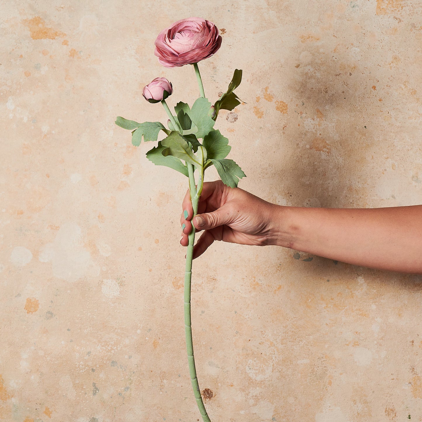Ranunculus Real Touch Flower Stem