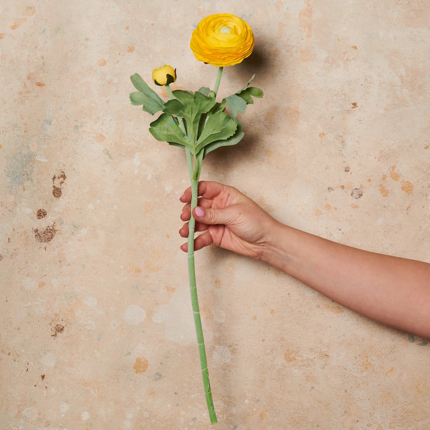 Ranunculus Real Touch Flower Stem