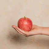 Apple Artificial Fruit