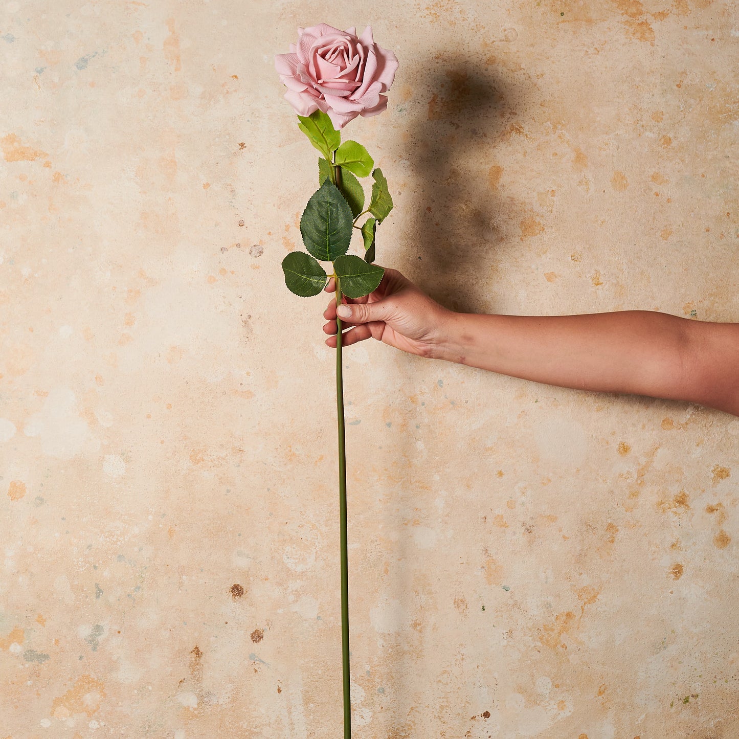 Rose Hannah Real Touch Flower Stem