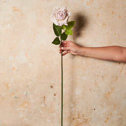 Rose Hannah Real Touch Flower Stem