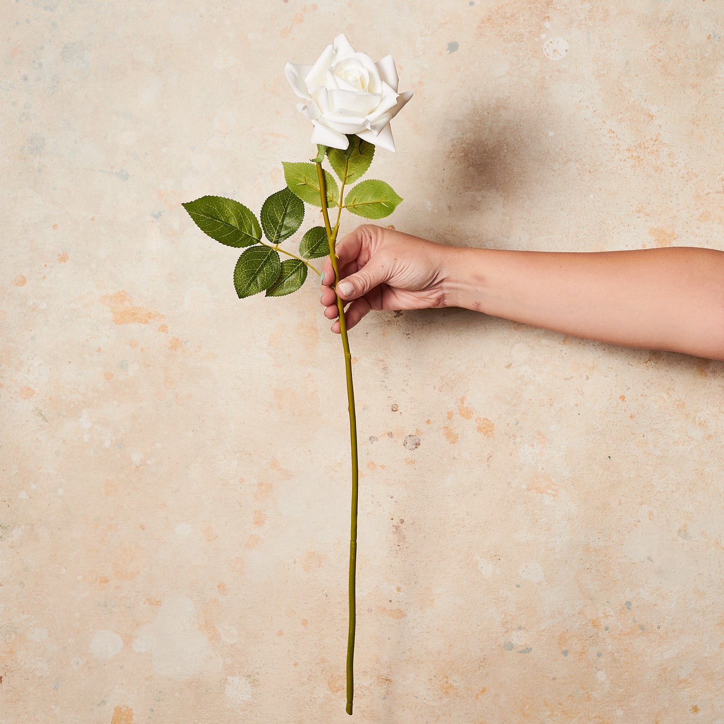 Rose Hannah Real Touch Flower Stem