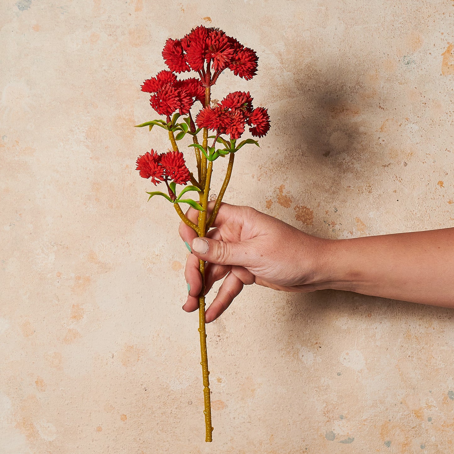 Sedum Spray Real Touch Flower Stem