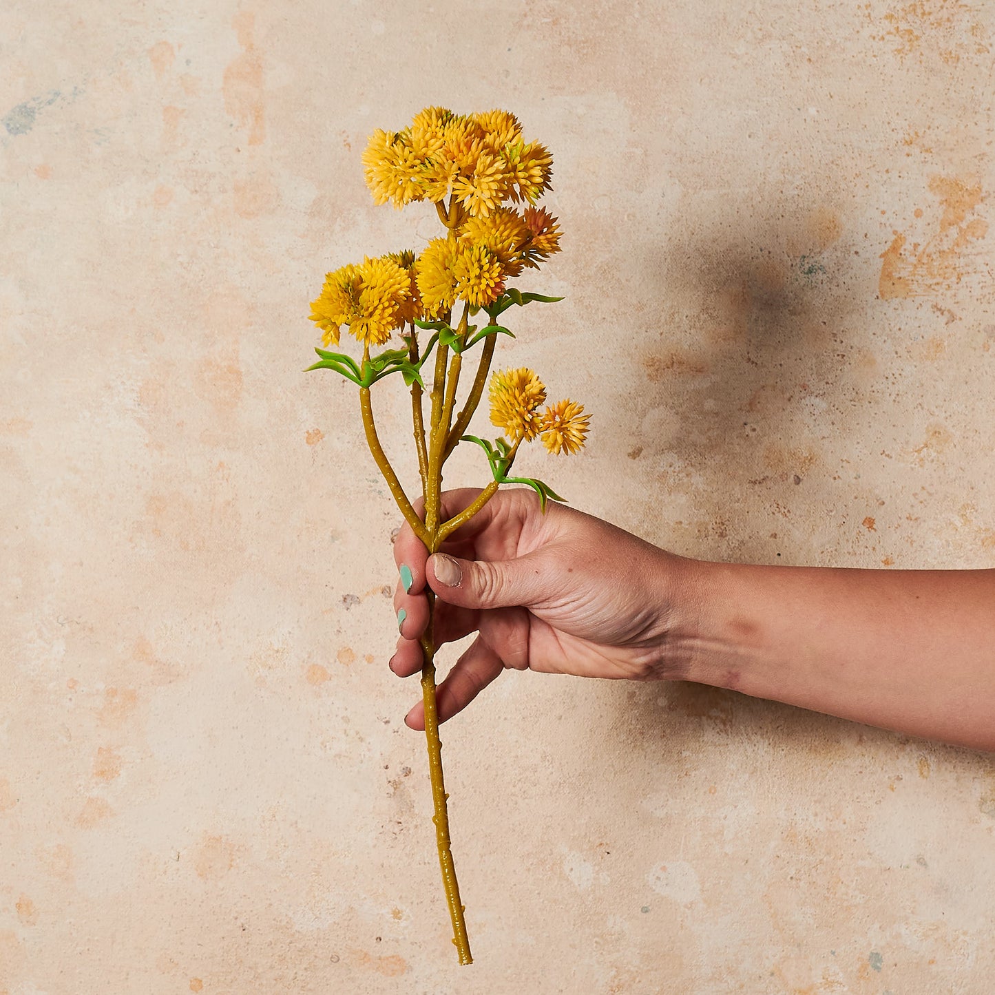 Sedum Spray Real Touch Flower Stem