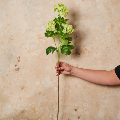 Snowball Spray Real Touch Flower Stem