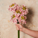 Star Flower Real Touch Flower Stem