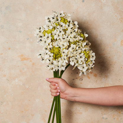 Star Flower Real Touch Flower Stem