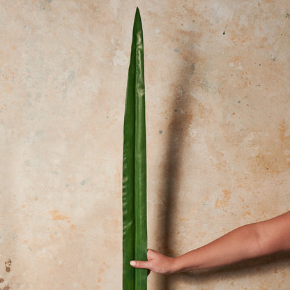 Sword Leaf Real Touch Flower Stem