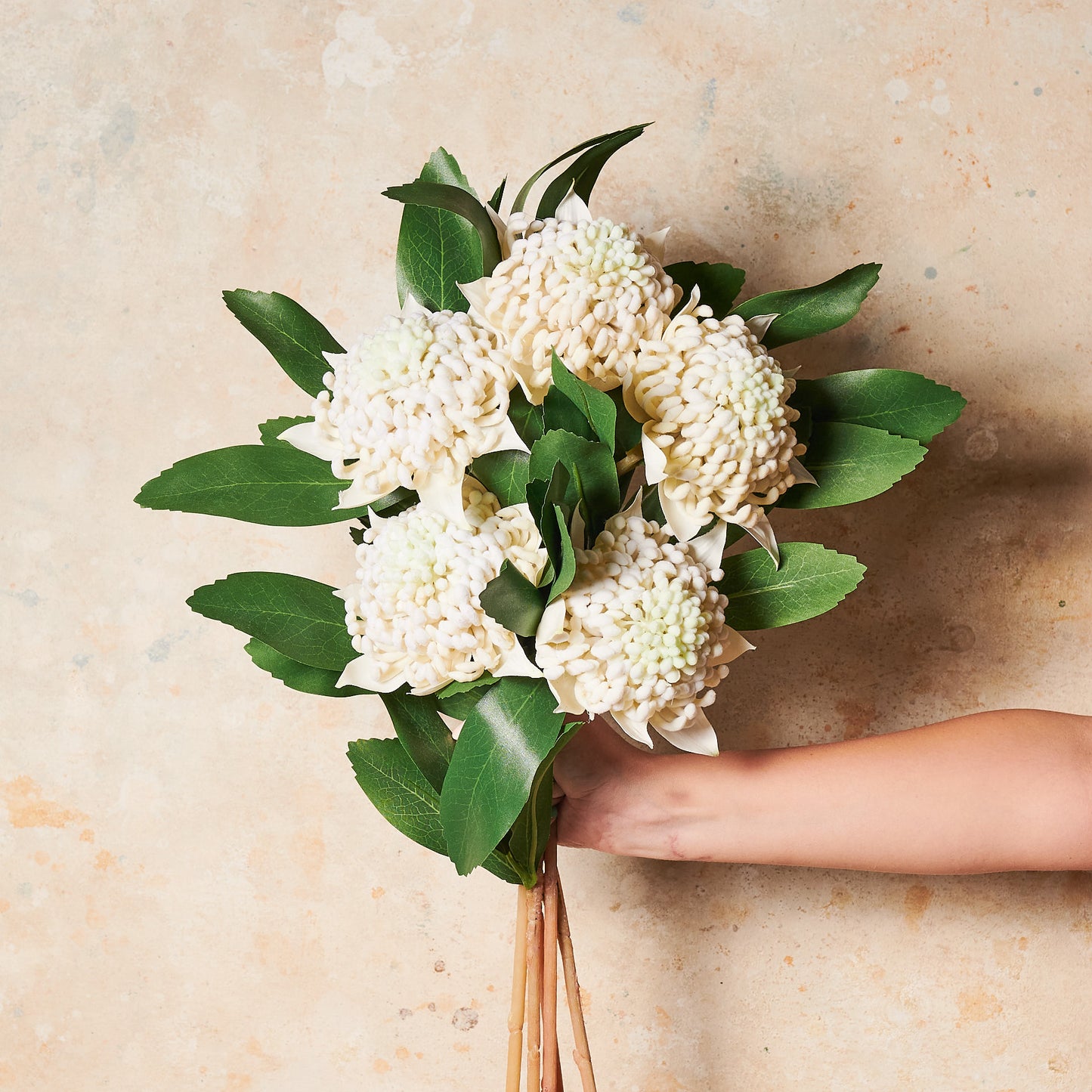 Waratah Real Touch Flower Stem