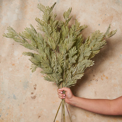 Wattle Leaf Spray Real Touch Stem