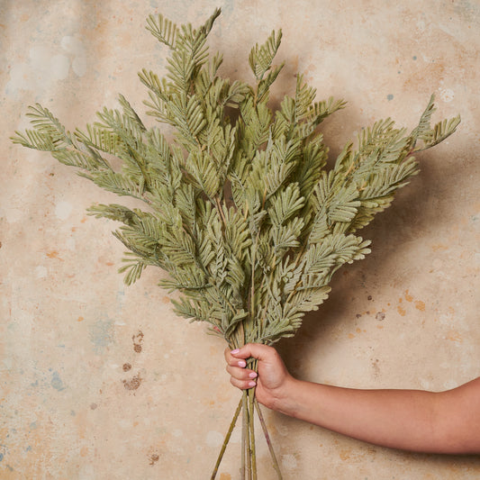 Wattle Leaf Spray Real Touch Stem