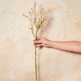 Wax Flower Real Touch Flower Stem
