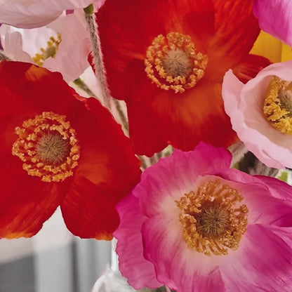 Poppy